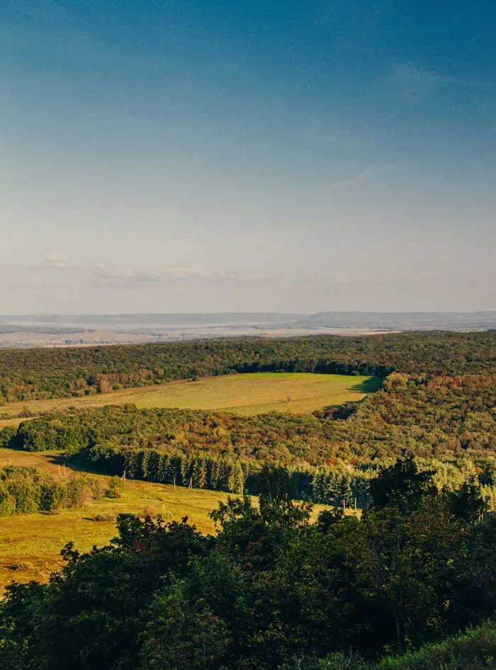 Beautiful view of an autumn forest and open field in Bashkortostan, showcasing vibrant fall colors.