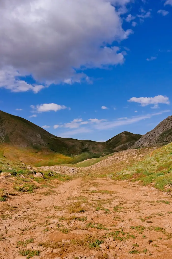 A scenic dirt hiking trail winds through a lush green mountain valley under a bright blue sky with fluffy clouds, perfect for a trekking adventure.